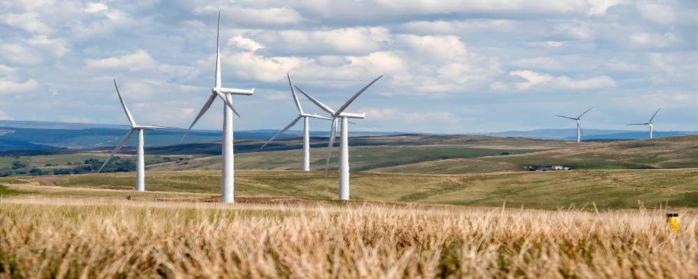 Turbina eolica a velocità fissa