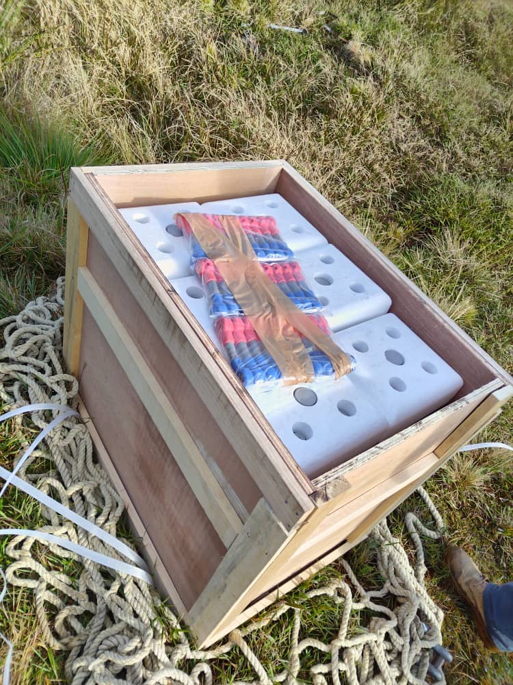 GEMBATTERY OPzV Battery